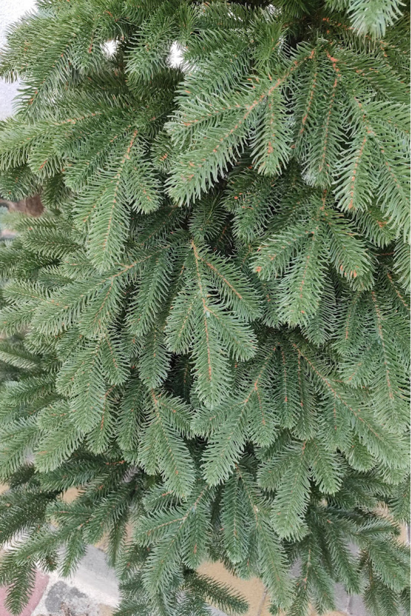 Ёлка  искусственная литая зеленая Elit Tree 150 см
